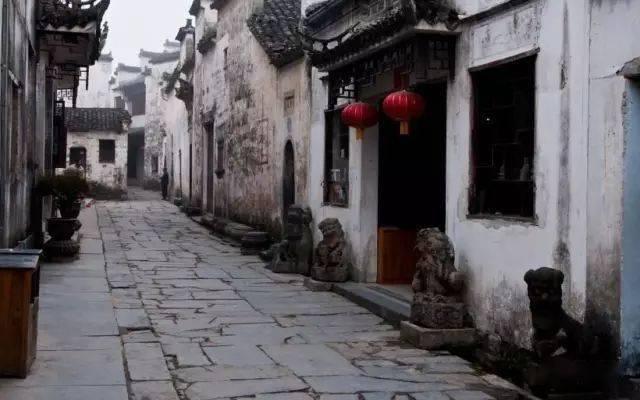 拯救小犀牛